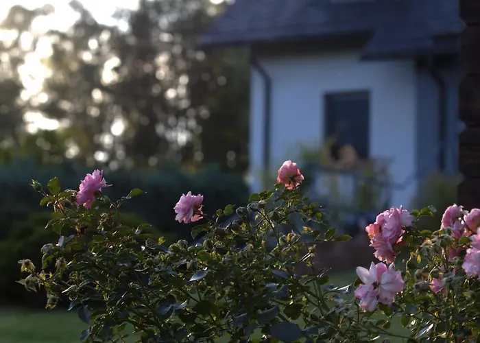 Adam Ries In Buchholz شقة